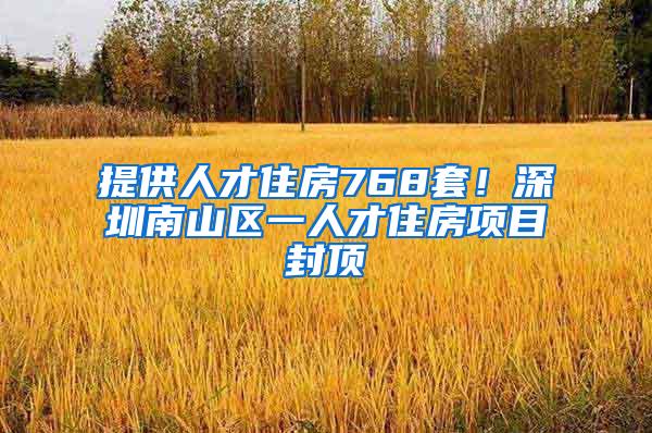 提供人才住房768套！深圳南山区一人才住房项目封顶