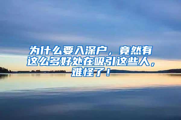 为什么要入深户，竟然有这么多好处在吸引这些人，难怪了！