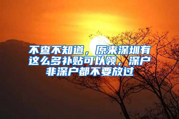 不查不知道，原来深圳有这么多补贴可以领，深户非深户都不要放过