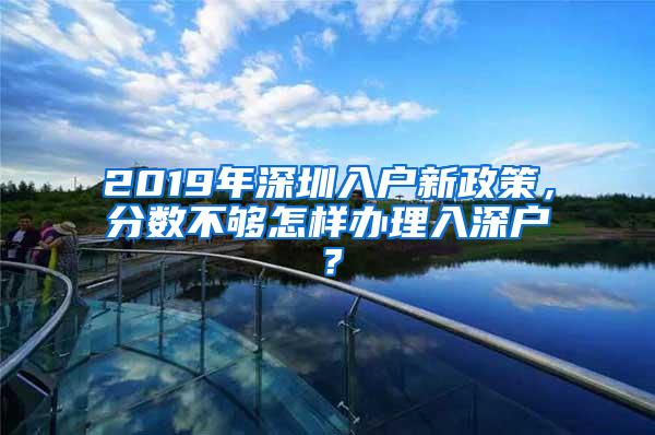 2019年深圳入户新政策，分数不够怎样办理入深户？