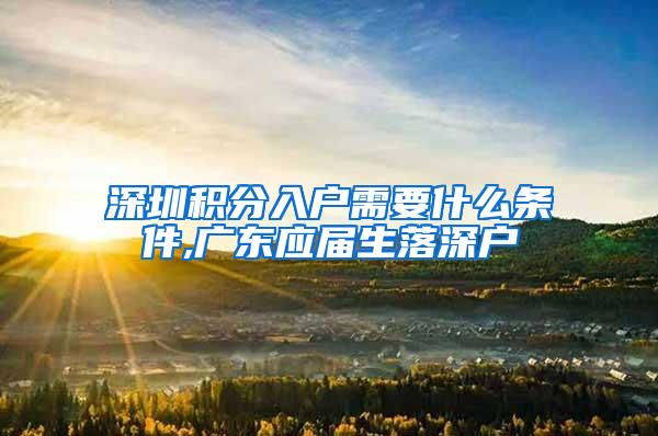 深圳积分入户需要什么条件,广东应届生落深户