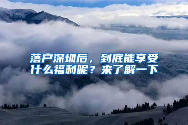 落户深圳后，到底能享受什么福利呢？来了解一下