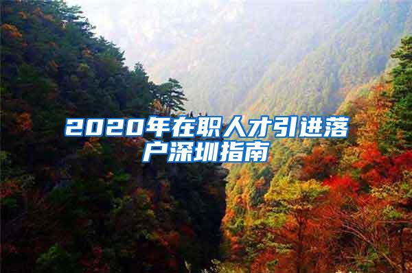 2020年在职人才引进落户深圳指南