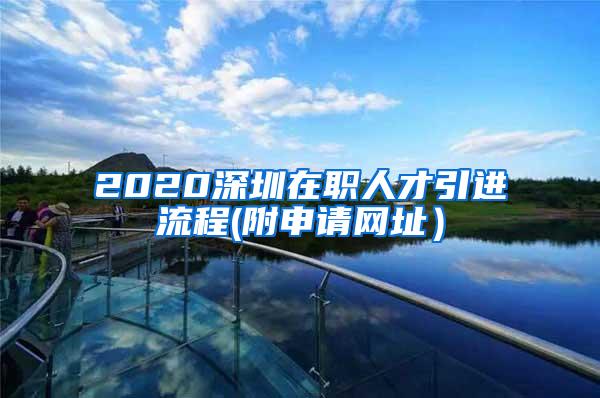 2020深圳在职人才引进流程(附申请网址）