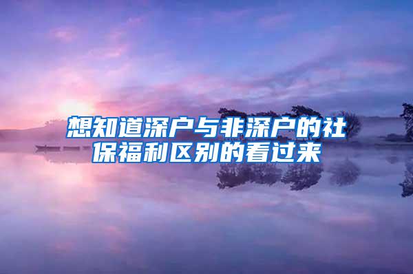 想知道深户与非深户的社保福利区别的看过来