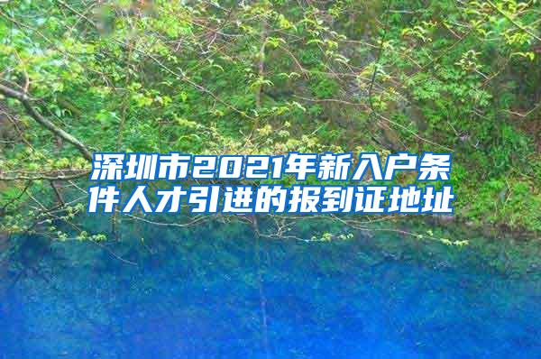 深圳市2021年新入户条件人才引进的报到证地址