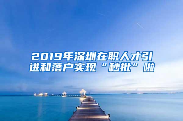 2019年深圳在职人才引进和落户实现“秒批”啦