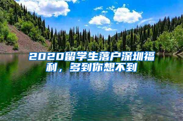 2020留学生落户深圳福利，多到你想不到