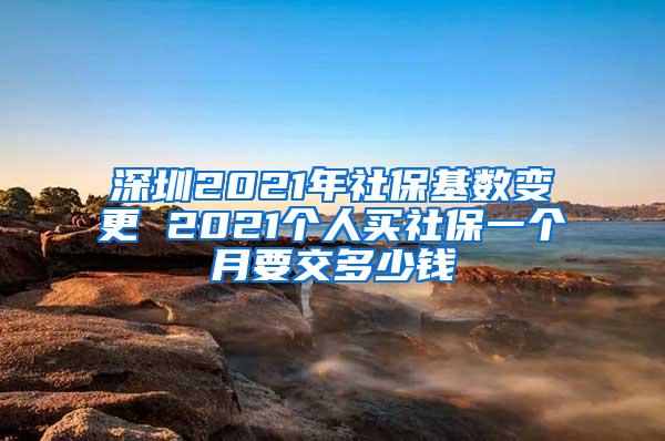 深圳2021年社保基数变更 2021个人买社保一个月要交多少钱