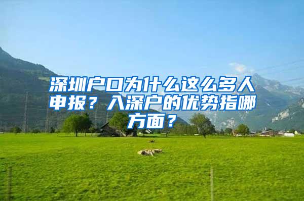 深圳户口为什么这么多人申报？入深户的优势指哪方面？