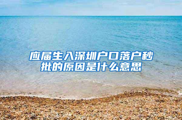 应届生入深圳户口落户秒批的原因是什么意思