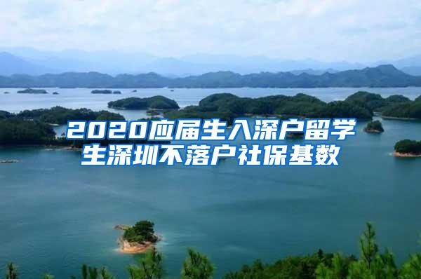 2020应届生入深户留学生深圳不落户社?；?/></p>
			 <p style=