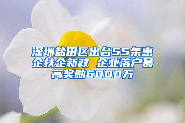 深圳盐田区出台55条惠企扶企新政 企业落户最高奖励6000万