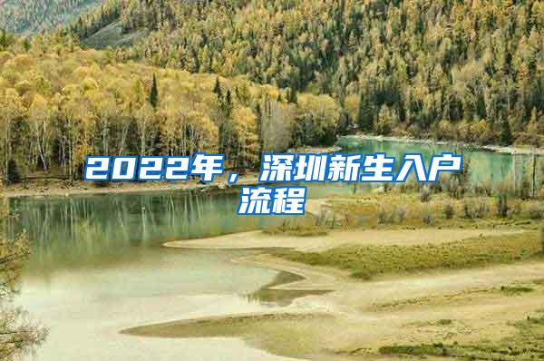 2022年，深圳新生入户流程