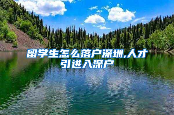 留学生怎么落户深圳,人才引进入深户