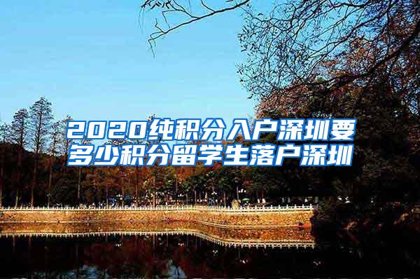 2020纯积分入户深圳要多少积分留学生落户深圳