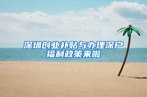 深圳创业补贴与办理深户福利政策来啦