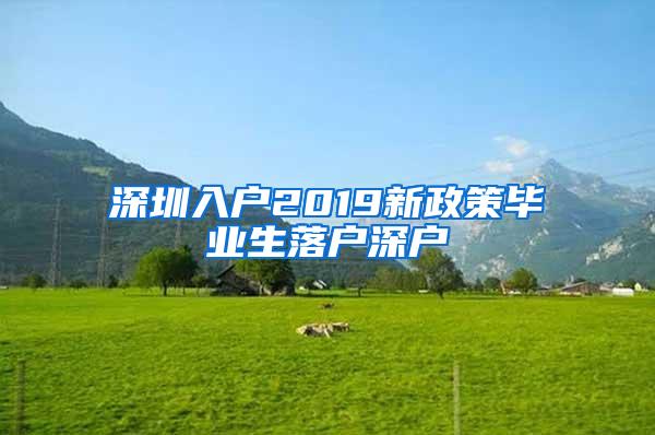 深圳入户2019新政策毕业生落户深户