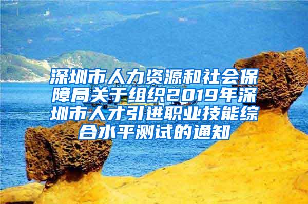 深圳市人力资源和社会保障局关于组织2019年深圳市人才引进职业技能综合水平测试的通知