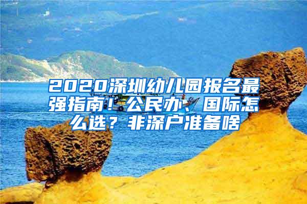 2020深圳幼儿园报名最强指南！公民办、国际怎么选？非深户准备啥