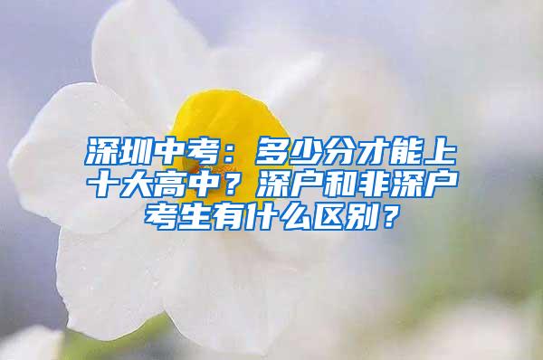 深圳中考：多少分才能上十大高中？深户和非深户考生有什么区别？