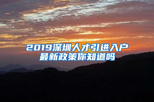 2019深圳人才引进入户最新政策你知道吗