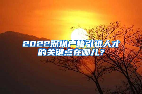 2022深圳户籍引进人才的关键点在哪儿？