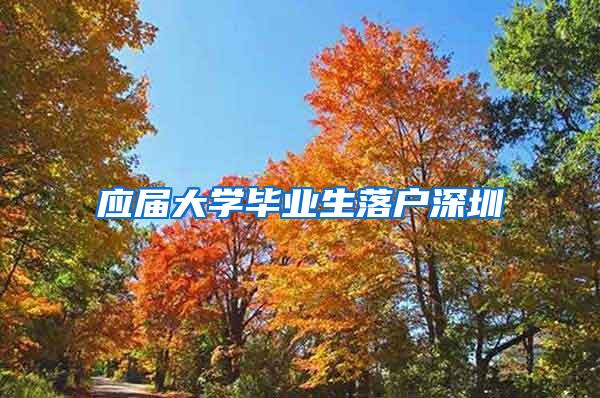 应届大学毕业生落户深圳