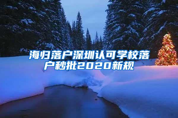 海归落户深圳认可学校落户秒批2020新规