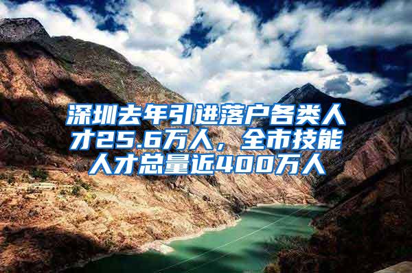 深圳去年引进落户各类人才25.6万人，全市技能人才总量近400万人