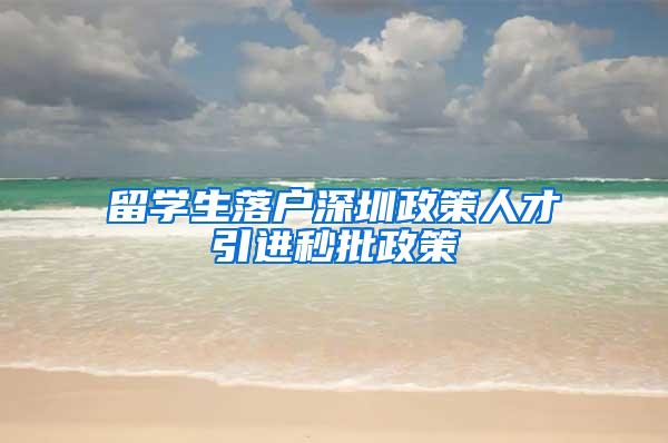 留学生落户深圳政策人才引进秒批政策