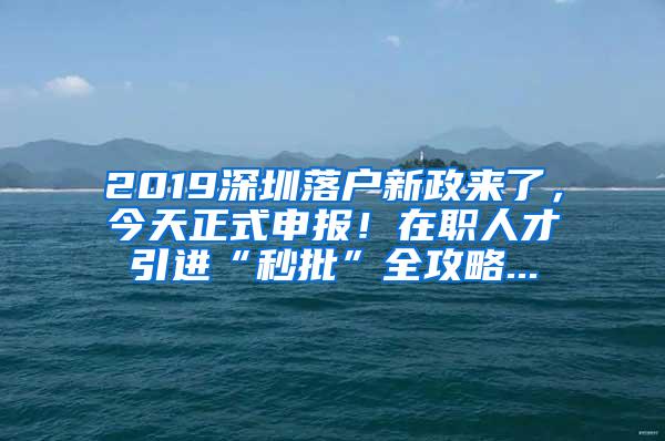 2019深圳落户新政来了，今天正式申报！在职人才引进“秒批”全攻略...