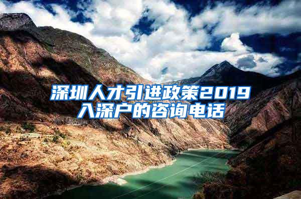 深圳人才引进政策2019入深户的咨询电话