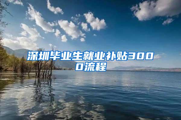 深圳毕业生就业补贴3000流程