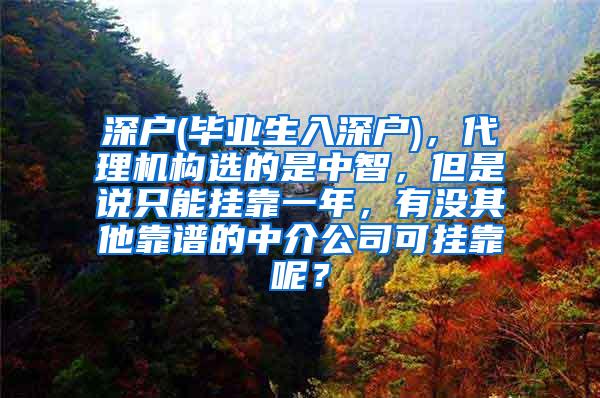 深户(毕业生入深户)，代理机构选的是中智，但是说只能挂靠一年，有没其他靠谱的中介公司可挂靠呢？