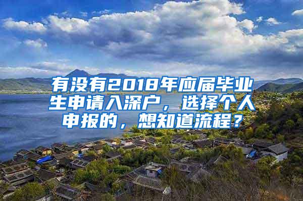 有没有2018年应届毕业生申请入深户，选择个人申报的，想知道流程？