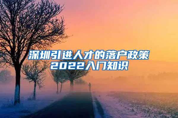 深圳引进人才的落户政策2022入门知识