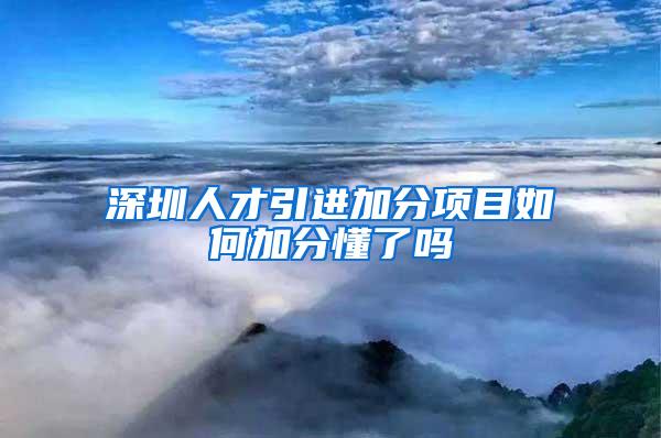 深圳人才引进加分项目如何加分懂了吗