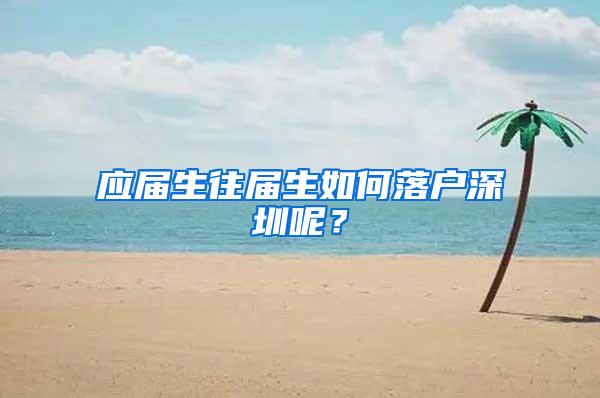 应届生往届生如何落户深圳呢？