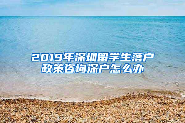 2019年深圳留学生落户政策咨询深户怎么办