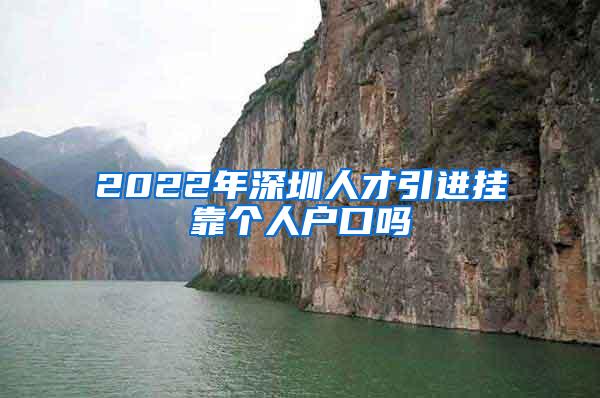 2022年深圳人才引进挂靠个人户口吗