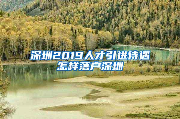 深圳2019人才引进待遇怎样落户深圳