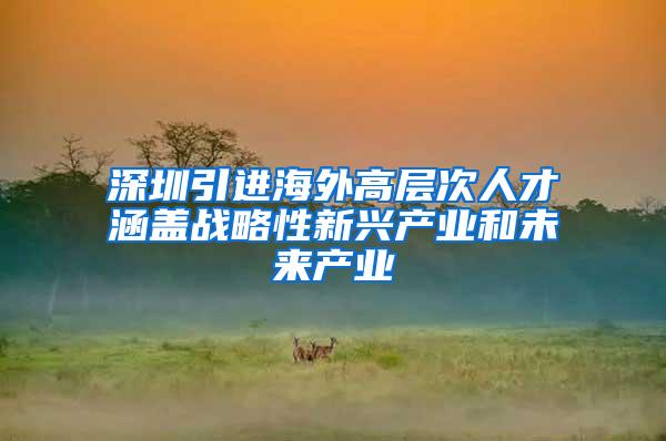 深圳引进海外高层次人才涵盖战略性新兴产业和未来产业