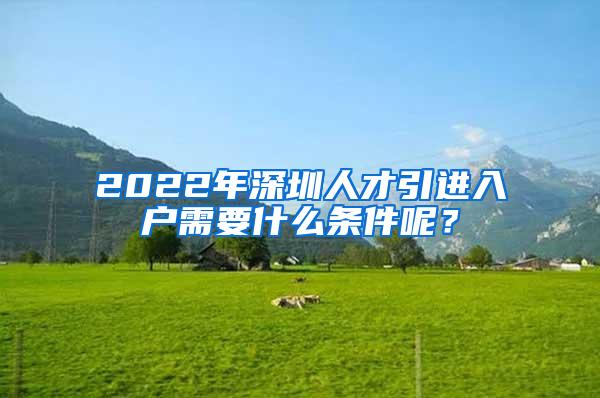 2022年深圳人才引进入户需要什么条件呢？