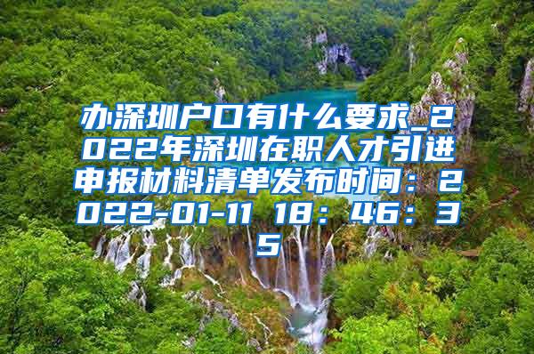 办深圳户口有什么要求_2022年深圳在职人才引进申报材料清单发布时间：2022-01-11 18：46：35