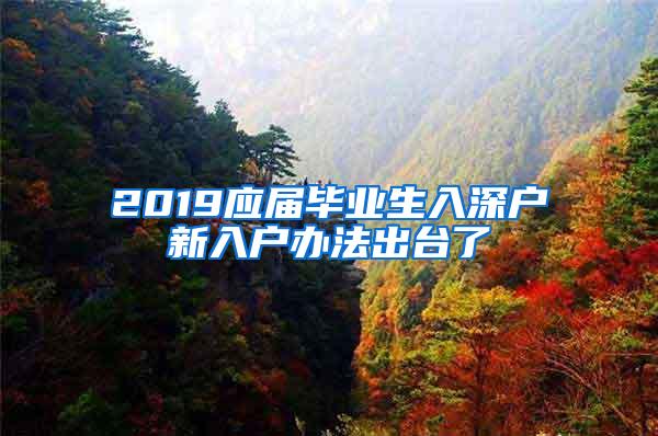 2019应届毕业生入深户新入户办法出台了