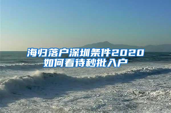 海归落户深圳条件2020如何看待秒批入户