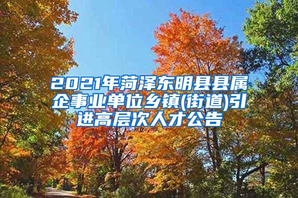 2021年菏泽东明县县属企事业单位乡镇(街道)引进高层次人才公告