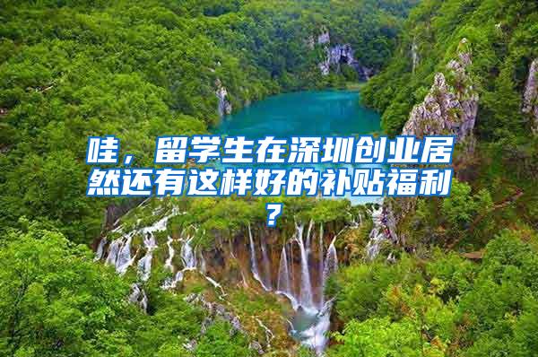 哇，留学生在深圳创业居然还有这样好的补贴福利？