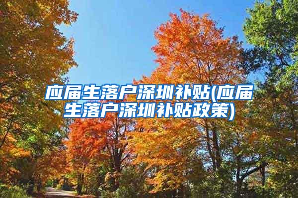 应届生落户深圳补贴(应届生落户深圳补贴政策)